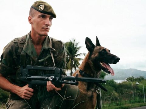 Отдельный отряд на острове Майотта (DLEM), 1994г. Легионер и его четырехлапый друг.